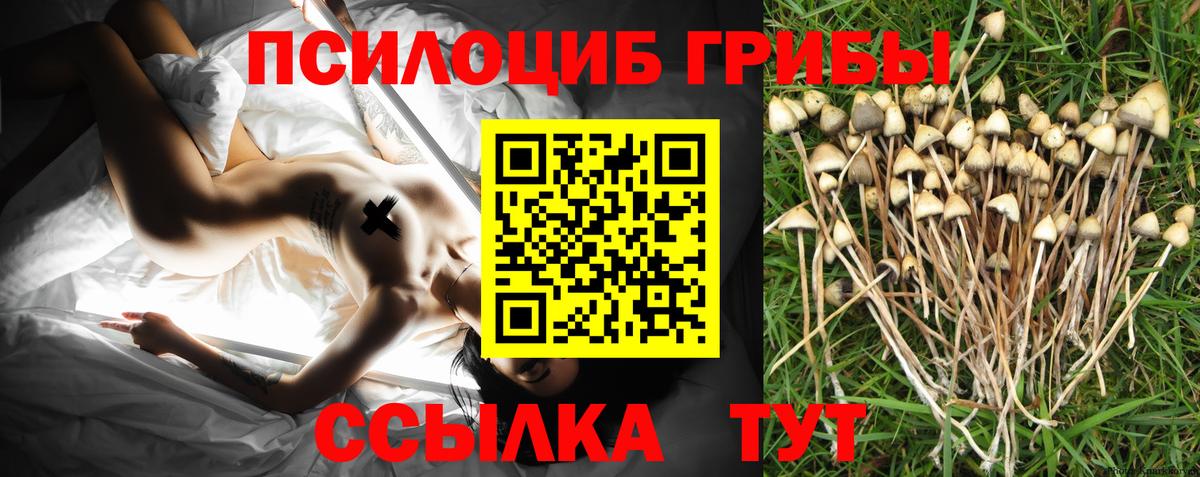 Тверь  ГАШ  МДМА  Cocaine  НБОМе  Канабис  Вход с VPN  Меф  