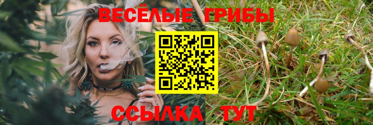 Тверь  Псилоцибиновые грибы Magic Shrooms  Вход с VPN 